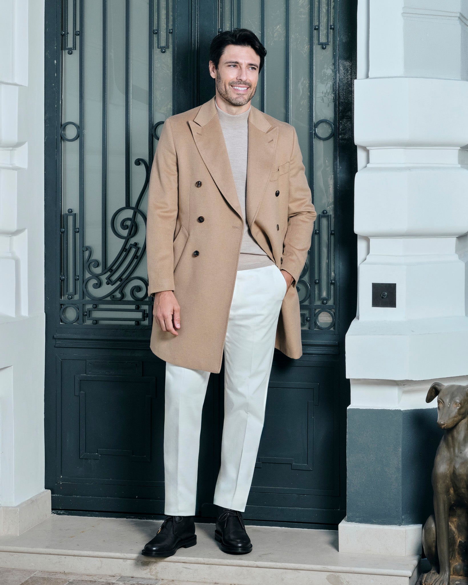 Timeless Camel Presence